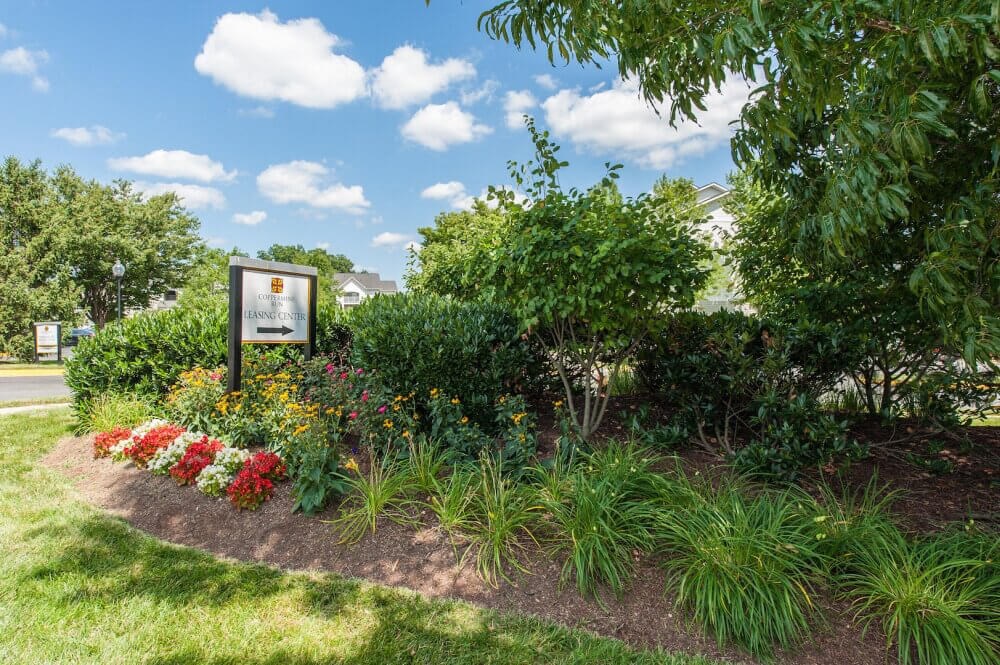 a garden with flowers and trees and a sign