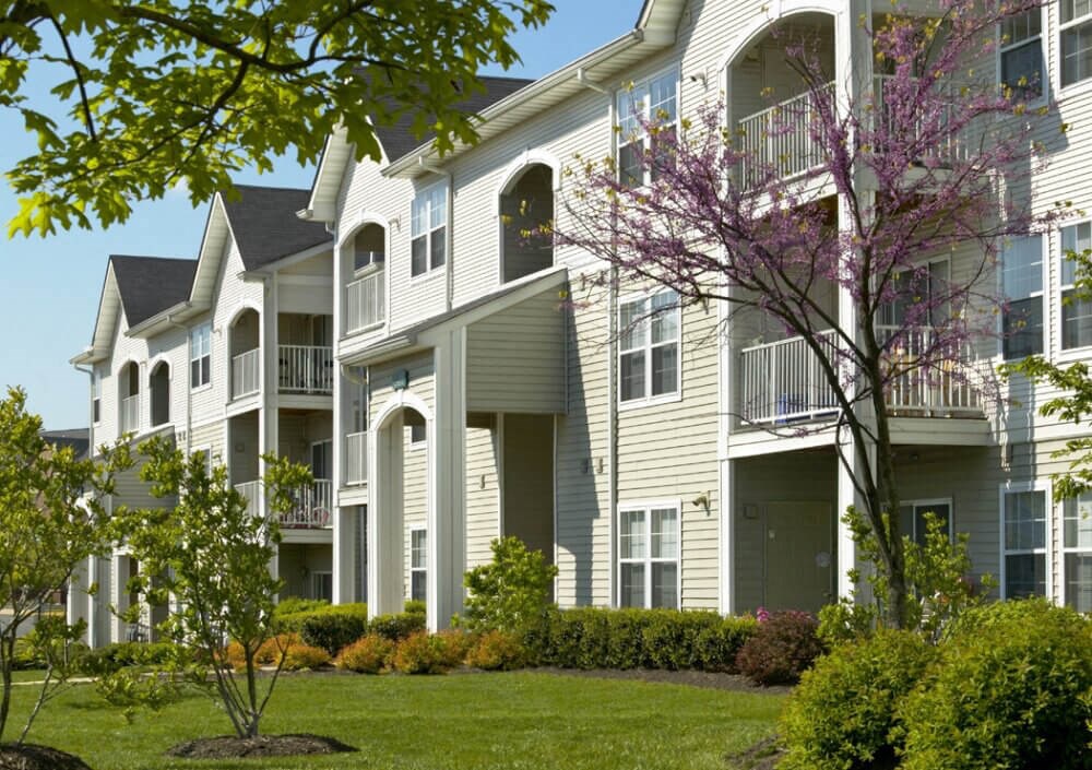 a row of apartments with balconies and a flowering tree