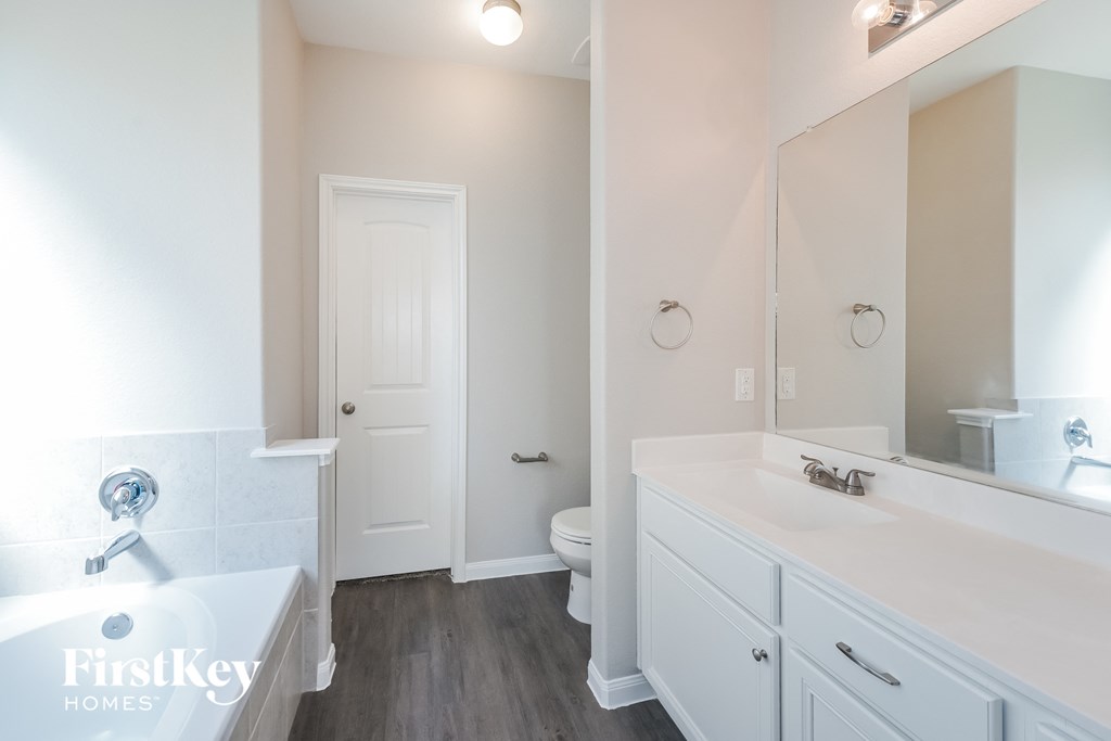 a bathroom with a sink and a toilet and a mirror