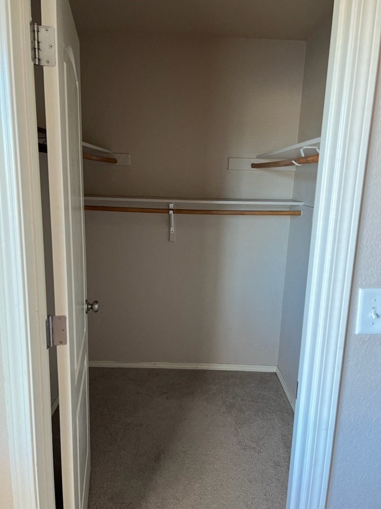 a walk in closet with shelves and a door