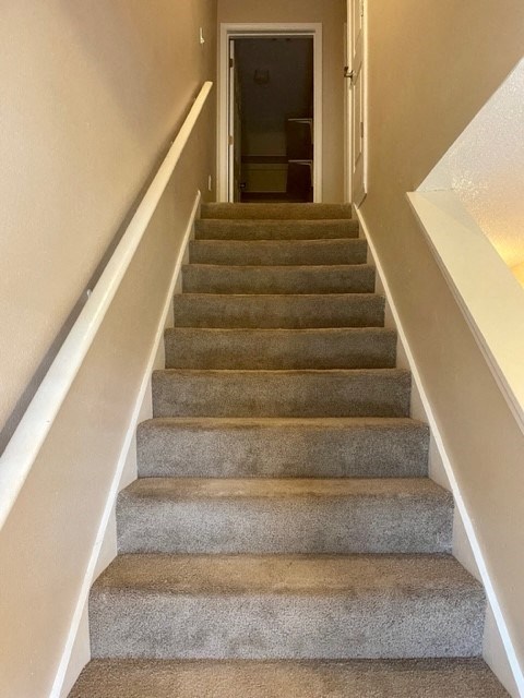 A staircase with a carpeted runner and white handrails.