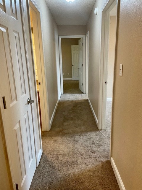 A hallway with white doors and carpeted floors.