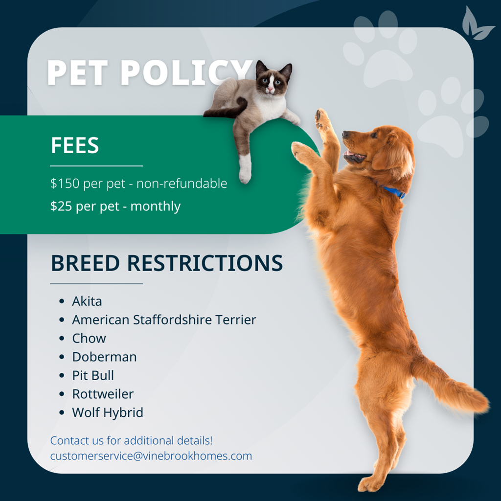 a dog and a cat are jumping up in the air with their paws