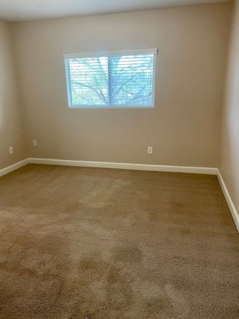 an empty room with a window and carpet