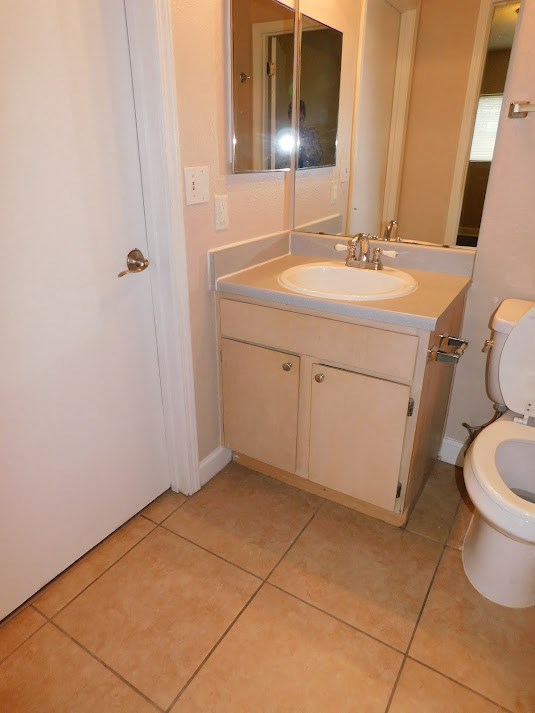 a bathroom with a sink and a toilet