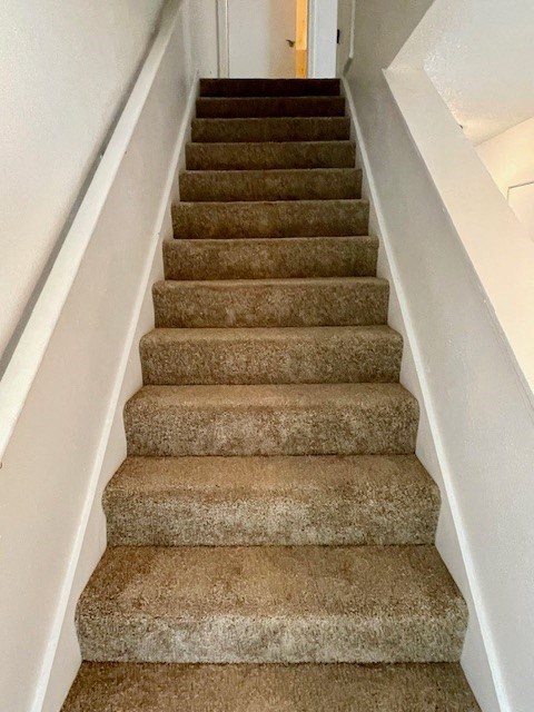a set of stairs with carpet on them