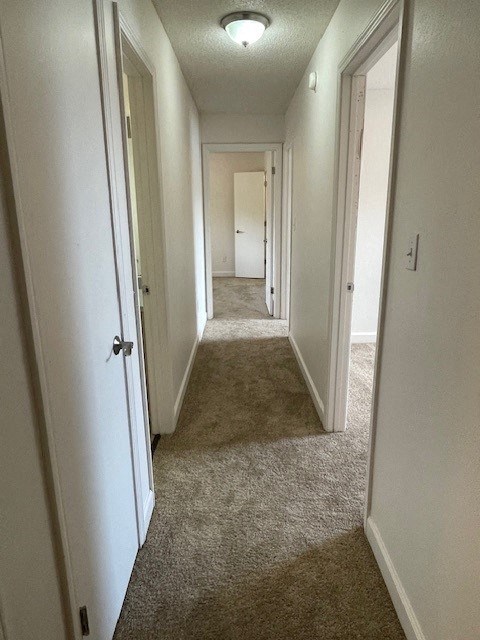a hallway with a carpeted floor and a hall way