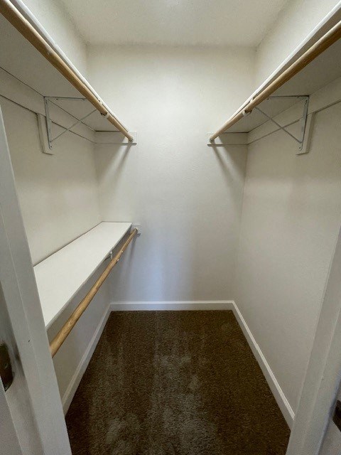 a walk in closet with empty shelves and a carpet