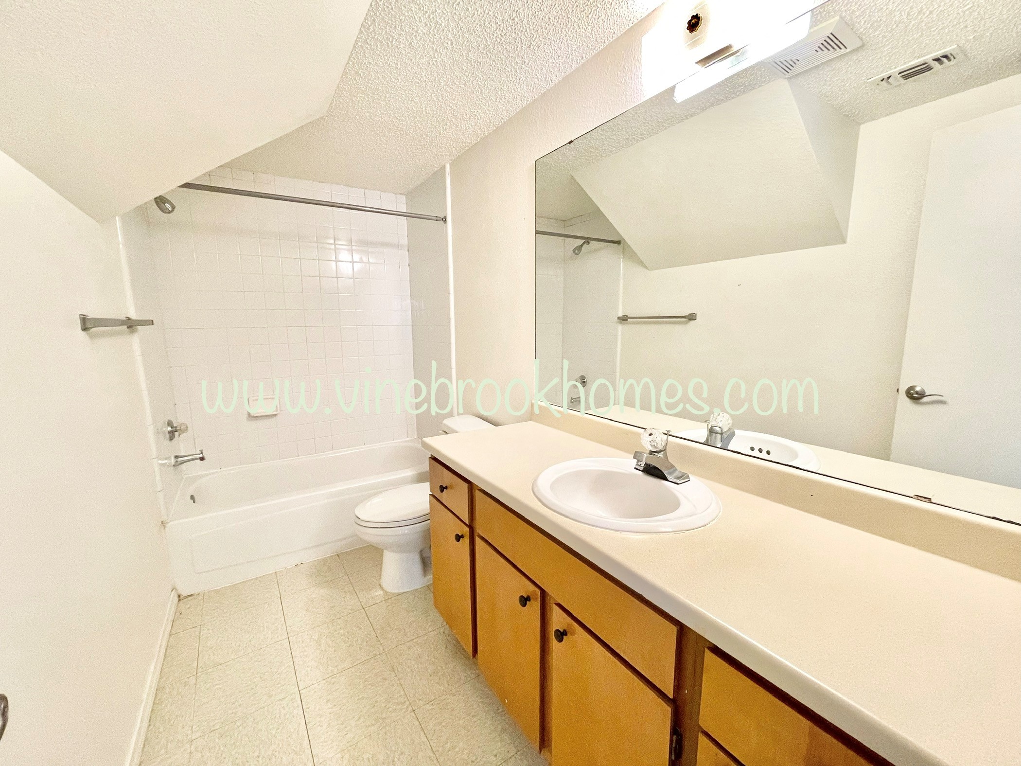 a bathroom with a sink and a toilet and a bath tub