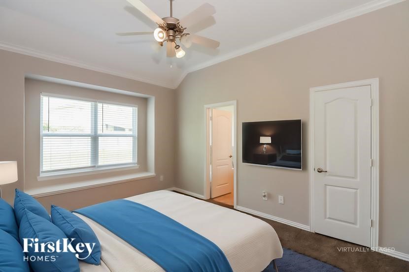 A bedroom with a bed, a ceiling fan, and a television.