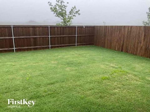 A backyard with a wooden fence and a tree in the distance.