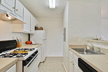 21030 Lowry Park Terrace 2-3 Beds Apartment for Rent - Photo Gallery 26