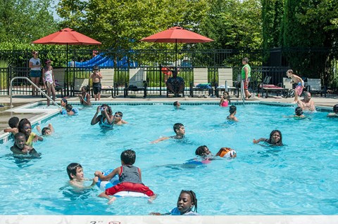 a group of people swimming in a swimming pool