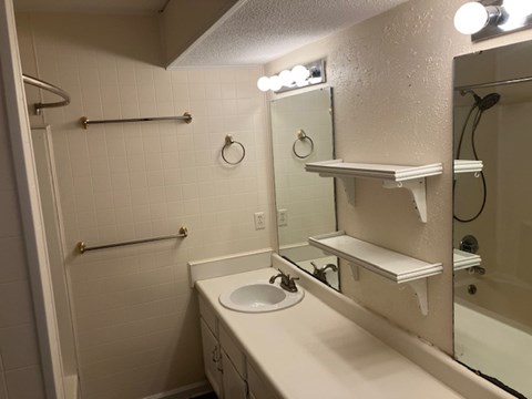 A bathroom with a white sink and a mirror.