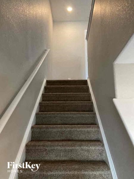 a set of stairs with carpet on them