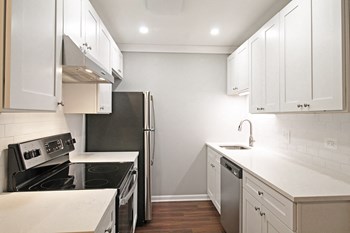 516 Des Plaines Ave. Studio-2 Beds Apartment for Rent - Photo Gallery 6