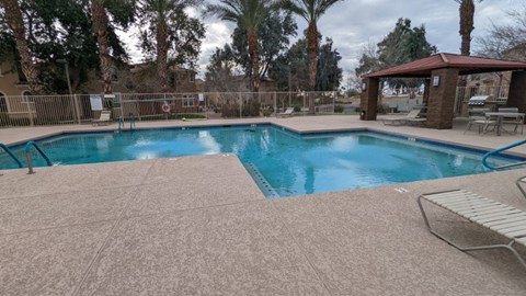 A pool surrounded by a concrete patio and palm trees.
