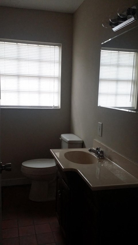 a bathroom with a sink and a toilet and a window