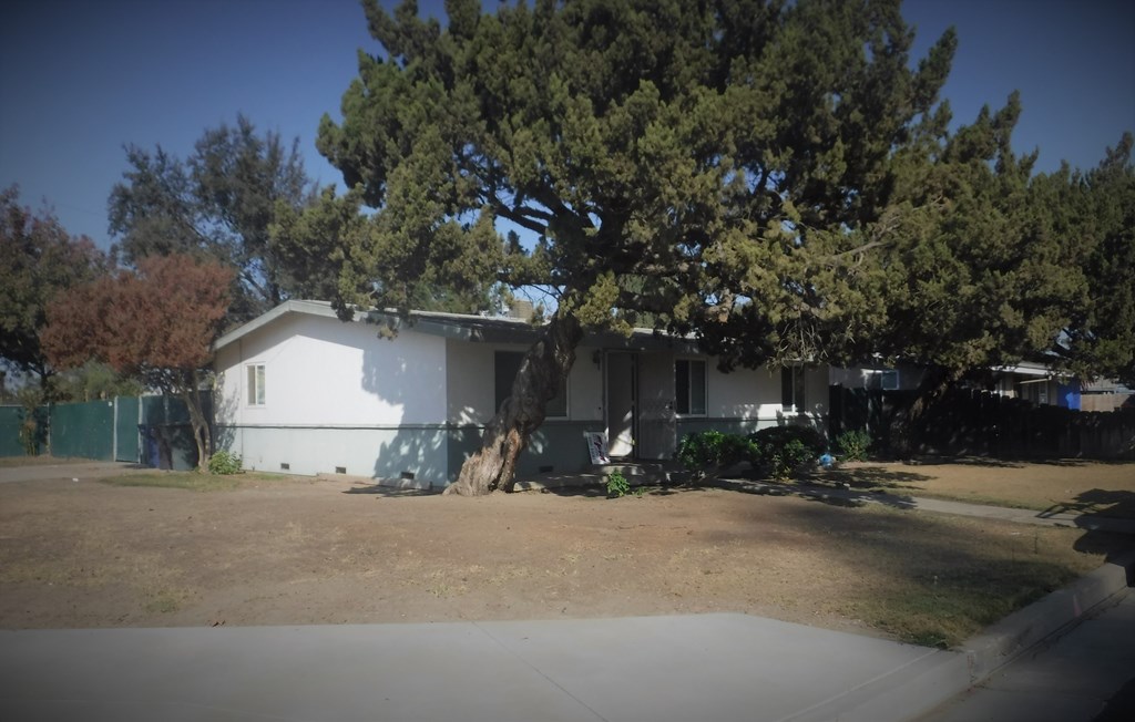 a white house with a large tree in front of it