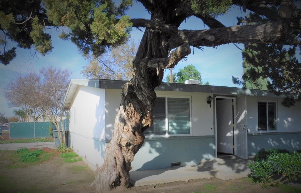 a house with a tree in front of it