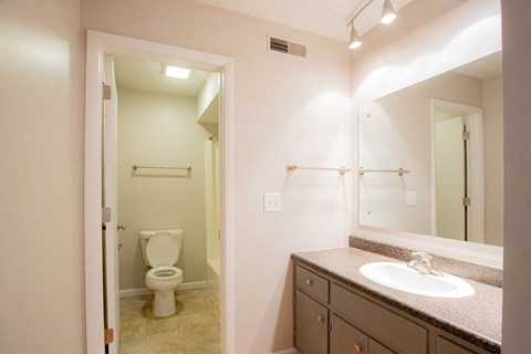 A bathroom with a toilet, sink, and mirror.