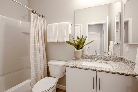our apartments offer a bathroom with a sink and a toilet