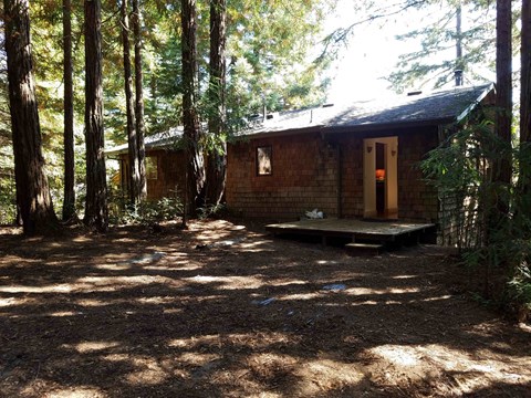 a small cabin in the middle of the woods
