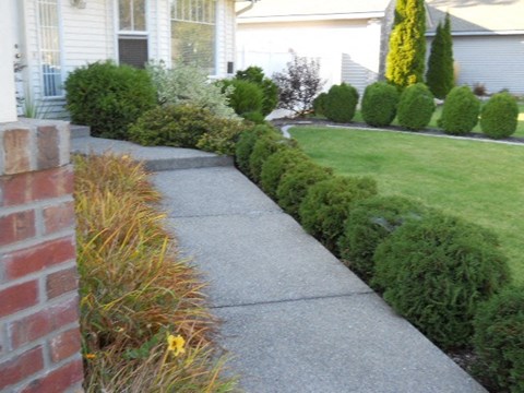a sidewalk in front of a house
