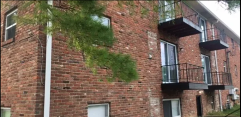 a brick building with a tree growing on the side of it