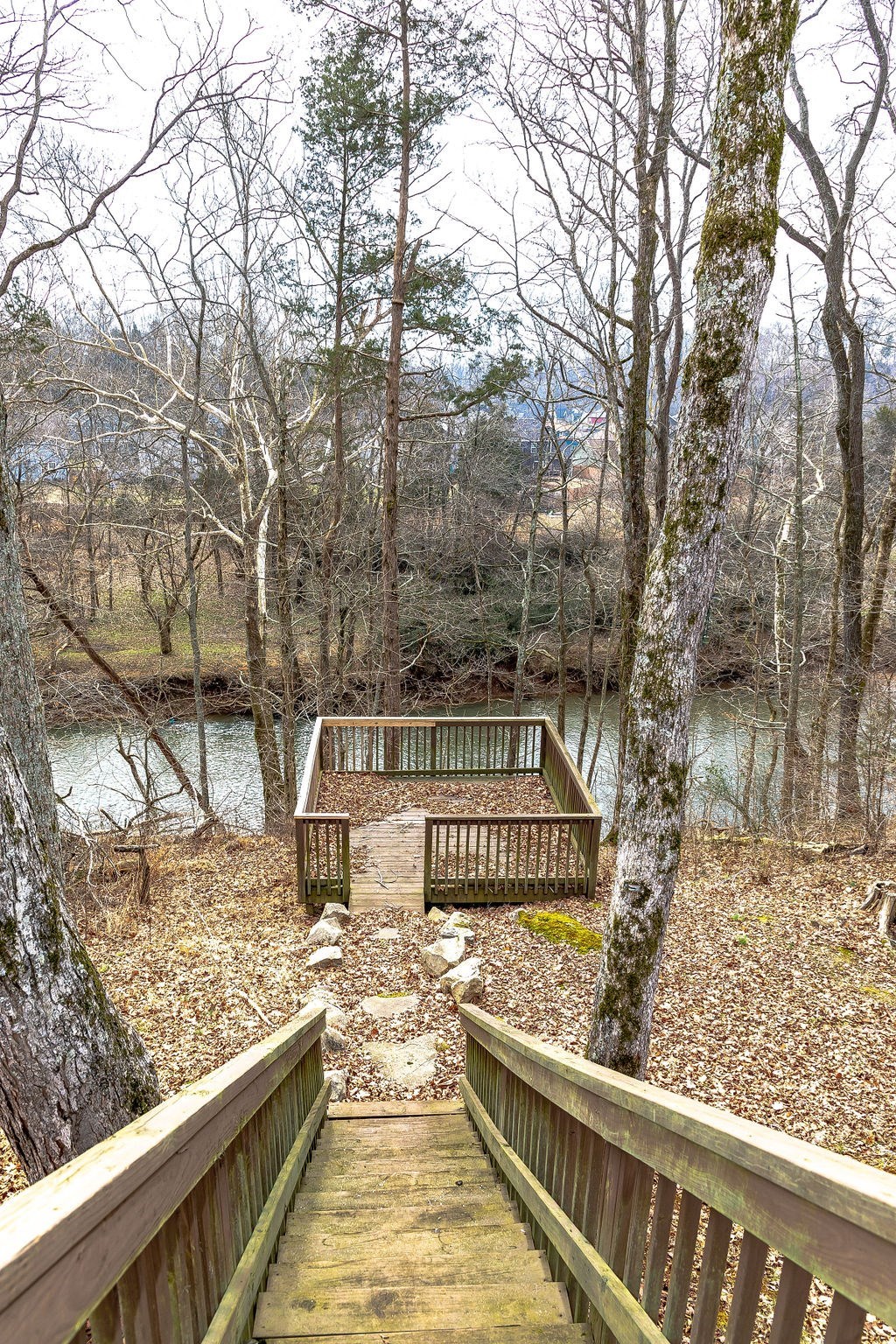 a set of wooden stairs leading to a river in the woods