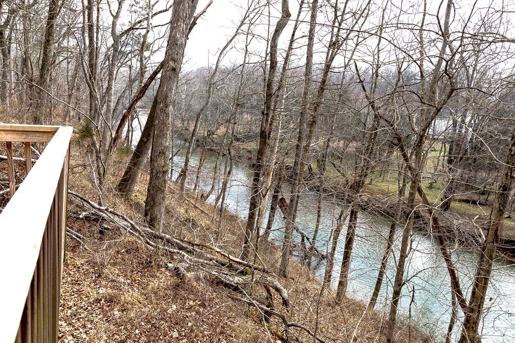 a river in the woods next to a bridge