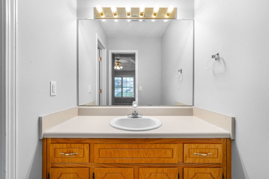 a bathroom with a sink and a large mirror