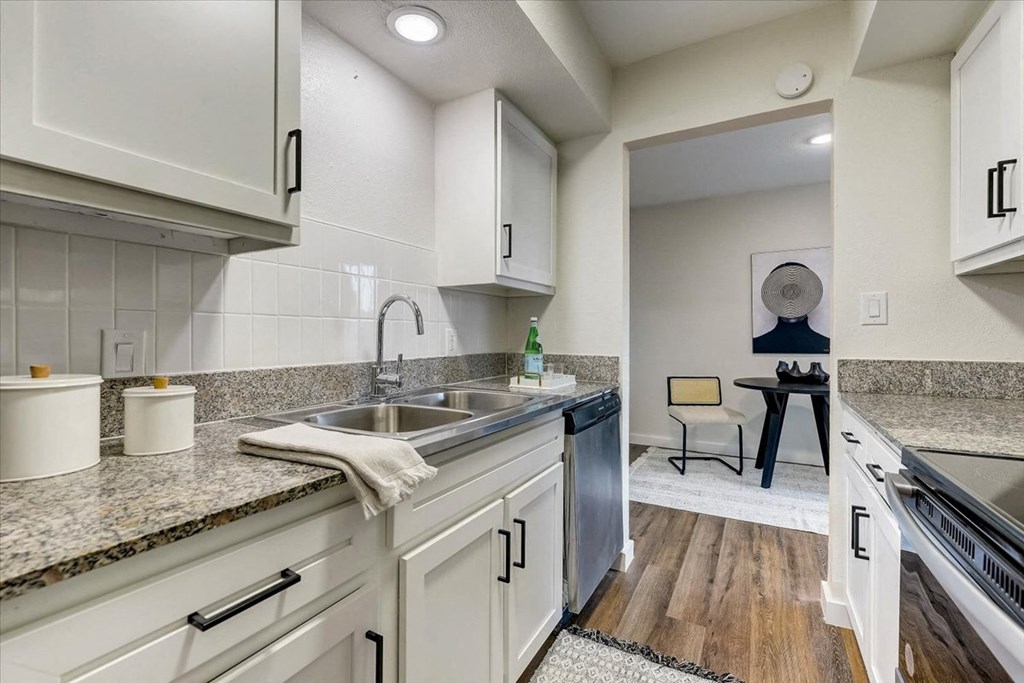 Kitchen area at The Alista Apartments, Texas