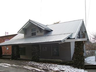 a house with a metal roof in the snow