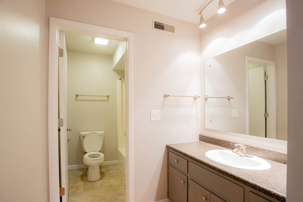 A bathroom with a toilet, sink, and mirror.