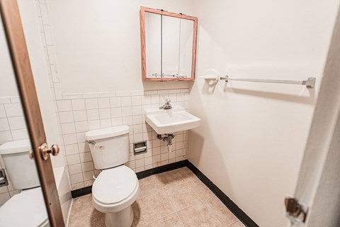 A white toilet sits in a bathroom with a sink and mirror.