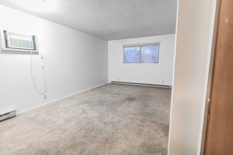 A room with a window and a carpeted floor.
