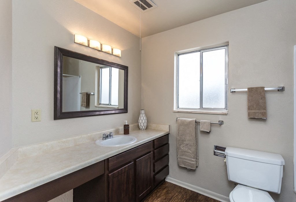 a bathroom with a toilet sink and mirror and a window