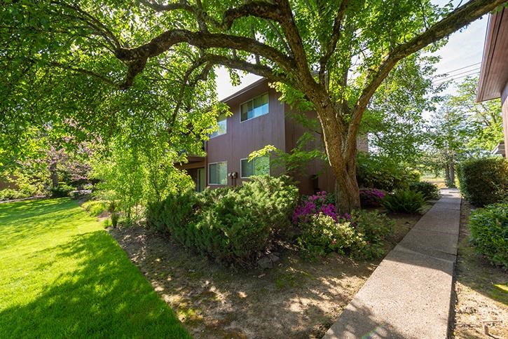 a house with a tree and a sidewalk