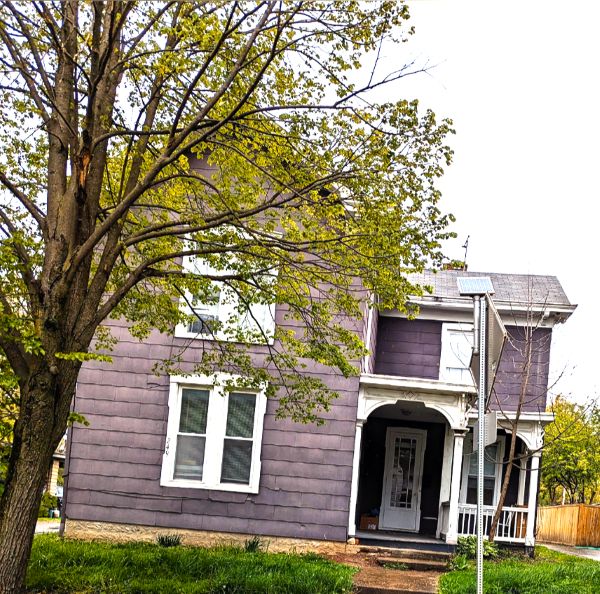 a purple house with a tree in front of it