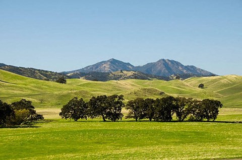 A green field with trees and mountains in the background.