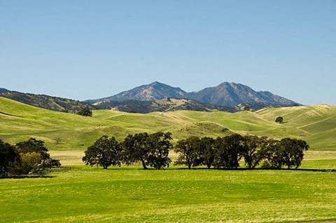 A green field with trees and mountains in the background.