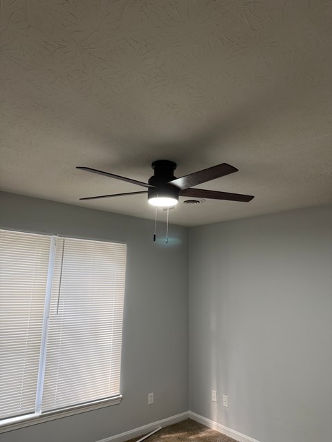733 S 33Rd Street 3 Beds Apartment for Rent