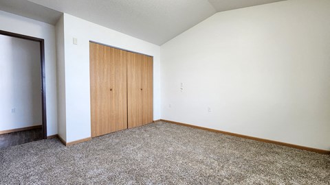 a bedroom with carpet and a door to a closet