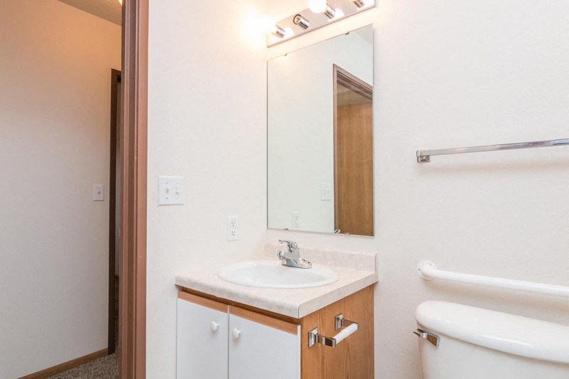 a bathroom with a sink and a mirror and a toilet