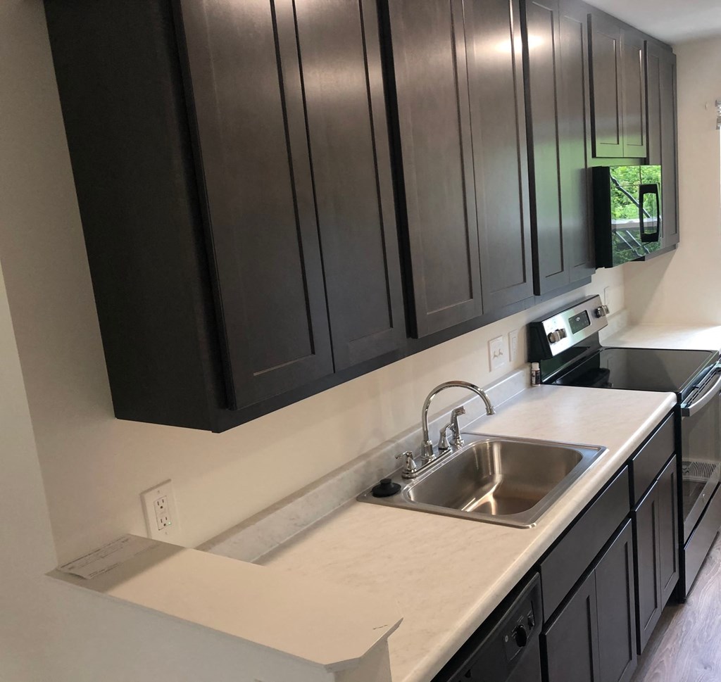 a kitchen with a sink and black cabinets