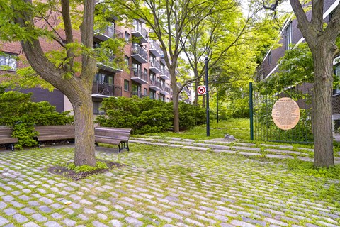 A brick pathway leads to a bench in a courtyard.
