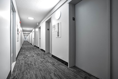 A long hallway with doors on both sides and a carpeted floor.