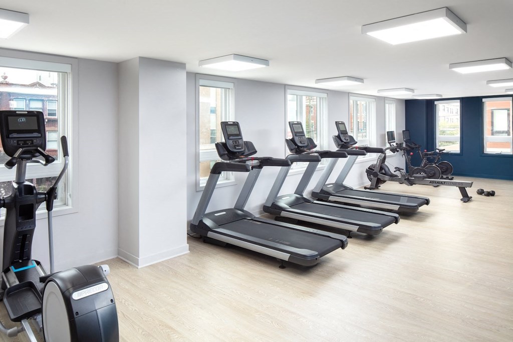 a gym with cardio equipment and a row of treadmills