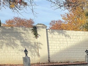 2733 Sunflower Circle 5 Beds House for Rent - Photo Gallery 3
